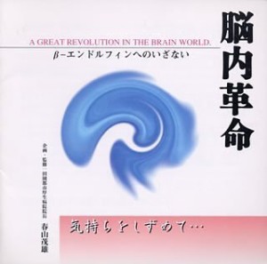 脳内革命 〜β-エンドルフィンへのいざない 〜気持ちをしずめて・・・(中古品)