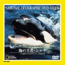 海の王者シャチ [DVD](中古品)