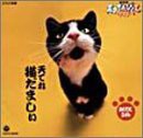 NHK天才てれびくんワイド~天てれ猫だましぃ~(中古品)