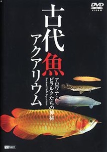 シンフォレストDVD 古代魚アクアリウム -アロワナ・ピラルクたちの神秘-(中古品)