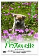 ハラスのいた日々 [DVD](中古品)