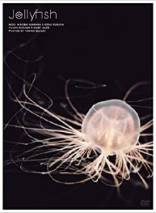 Jellyfish ヒーリングアート クラゲ [DVD](中古品)