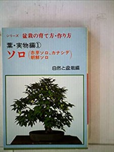 盆栽の育て方・作り方〈葉・実物編 1〉ソロ (1980年)(中古品)
