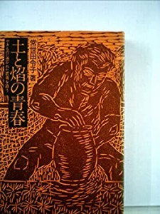 土と焔の青春―やきものに憑かれた若者を追う (1975年)(中古品)