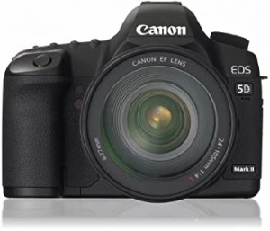 【中古品】Canon デジタル一眼レフカメラ EOS 5D MarkII EF24-105L IS U レンズキット(中古品)