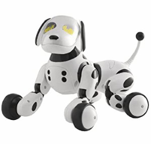 Omnibot Hello! Zoomer(中古品)