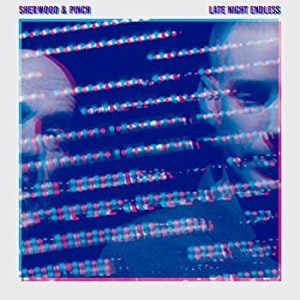 Late Night Endless [帯解説・ボーナストラック1曲収録 / 国内盤] (BRC452)(中古品)