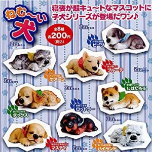 【中古品】ねむーい犬 全8種セット ビーム ガチャポン(中古品)