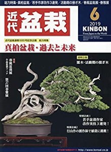 月刊近代盆栽 2019年 06 月号 [雑誌](中古品)