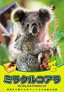 【中古】ミラクル コアラ [DVD]