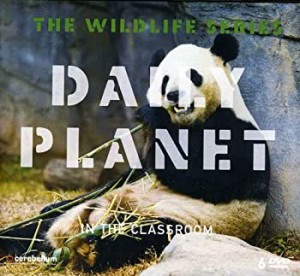 【中古】Wildlife [DVD]