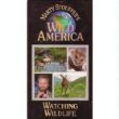 【中古】Wild America: Watching Wildlife [VHS]