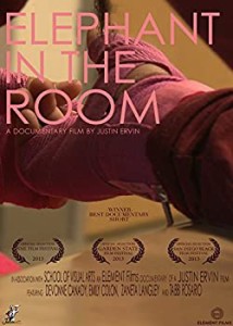 【中古】Elephant in the Room [DVD]