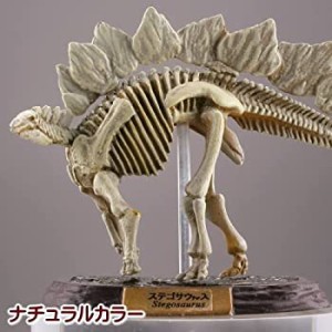 【中古】カプセルQミュージアム 恐竜発掘記6 恐竜全身骨格展示室 ［3.ステゴサウルス(ナチュラルカラー)］(単品)