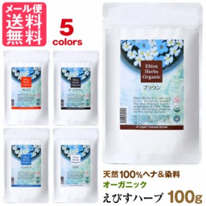 ジャパンヘナ えびすハーブ オーガニック カラー トリートメント 100g 5色より 天然染料 ヘンナ japan henna 送料無料 yp2