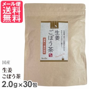 国産生姜ごぼう茶 2.0g×30包入り ごぼう茶 国産 無漂白 ティーバッグ 送料無料 yp2 