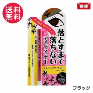 ビナ薬粧 スタイリング アイライナー ブラック 1000円ポッキリ メール便 送料無料