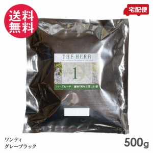 天然100%ヘナ ワンディ グレーブラック 500g ヘナインターナショナル 白髪染め カラー トリートメント ハーブ ヘンナ henna 送料無料