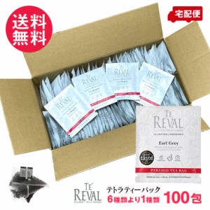 TE REVAL 高級 紅茶 テトラパック ティーバッグ 業務用 100包 6種より JAF TEA 送料無料