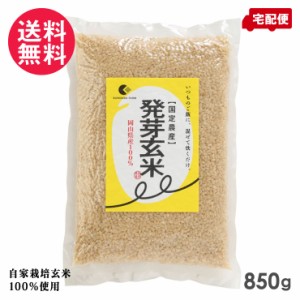 発芽玄米 850g パウチ 国定農産 国産 発芽玄米ごはん 送料無料