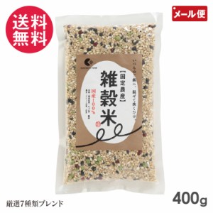 雑穀米 400g パウチ 国定農産 7種類ブレンド 国産 雑穀ごはん メール便 送料無料