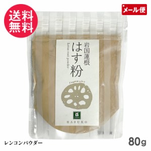 岩国蓮根 はす粉 蓮粉 蓮根パウダー パウチ 80g 池本食品 メール便 送料無料