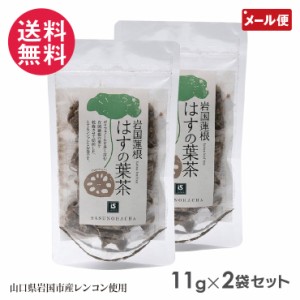 岩国蓮根 はすの葉茶 11g 2個セット 池本食品 ノンカフェイン メール便 送料無料 yp2