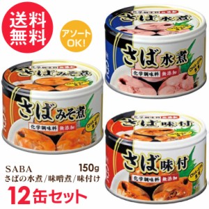 さば缶 水煮 味噌煮 味付け 缶詰 12缶セット サバ缶 鯖缶 缶詰め さば SABA 送料無料(一部地域有料)