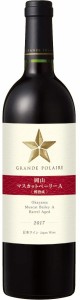 日本ワイン グランポレール 岡山マスカットベーリーA 樽熟成 750ml 1本 wine