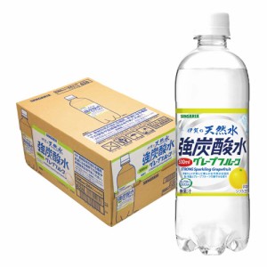 送料無料 サンガリア 伊賀の天然水 強炭酸水 グレープフルーツ 500ml×1ケース/24本 heat_g