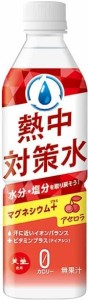 5/1〜2限定500円OFFクーポン取得可 送料無料 赤穂化成 熱中対策水 アセロラ味 500ml×24本/1ケース