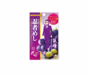 送料無料  UHA味覚糖 忍者めし 巨峰 20g×10袋