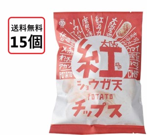 送料無料 アイデアパッケージ 大阪 紅ショウガ天 ポテトチップス 100g×15袋