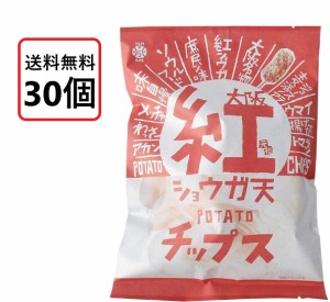 送料無料 アイデアパッケージ 大阪 紅ショウガ天 ポテトチップス 100g×30袋