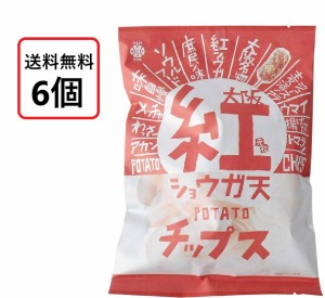 送料無料 アイデアパッケージ 大阪 紅ショウガ天 ポテトチップス 100g×6袋