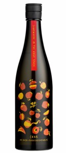 日本酒 遠藤酒造場 彗 DE KOCK−PARASKEVOPOVLOS 純米吟醸 13度 720ml 1本 デコック パラスケヴォボロス 美山錦 原酒 ギフト