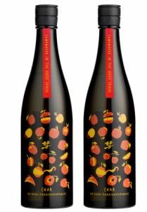 日本酒 送料無料 遠藤酒造場 彗 DE KOCK−PARASKEVOPOVLOS 純米吟醸 13度 720ml 2本 デコック パラスケヴォボロス 美山錦 原酒 ギフト