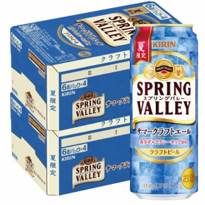 5/20限定P3倍 予約 2024/06/04発売商品 送料無料  SPRING VALLEY サマークラフトエール 500ml×2ケース/48本 