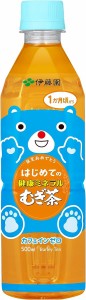 送料無料 伊藤園 はじめての 健康 ミネラル むぎ茶 500ml×2ケース/48本