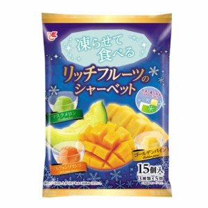 送料無料 エースベーカリー 凍らせて食べるシャーベットリッチフルーツ 15個入×2ケース/32袋