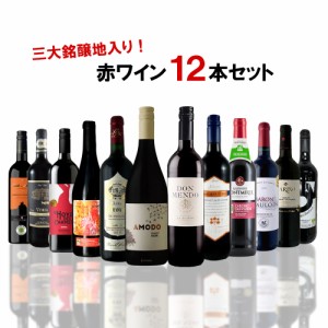 スマプレ会員 送料無料 三大銘醸地入り！赤ワインセット [750ml×12本] 