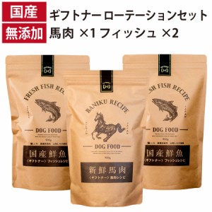 ギフトナー ローテーションセット 馬肉レシピ ×1 フィッシュレシピ×2 国産 ドッグフード 無添加 魚 しらす 馬肉 馬刺し 全年齢 GIFTNER