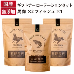 ギフトナー ローテーションセット 馬肉レシピ ×2 フィッシュレシピ ×1 国産 ドッグフード 無添加 魚 しらす 馬肉 馬刺し 全年齢 GIFTNE