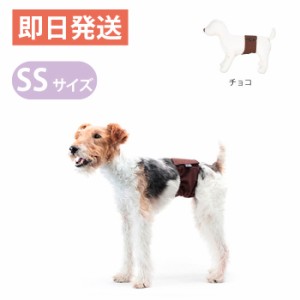 アルファアイコン マナーバンド チョコ SSサイズ 超小型犬 お出かけ用に マーキング防止