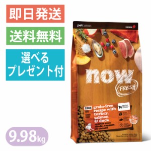 ナウフレッシュ グレインフリー シニア＆ウェイトマネジメント 9.98kg 普通粒 レギュラー粒 ドッグフード NOW FRESH 体重管理 サーモン 