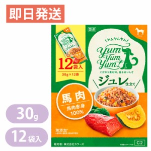 ヤムヤムヤム ジュレ仕立て 馬肉 30g 12袋 yum yum yum！ 国産 無添加 ドッグフード ウェットフード