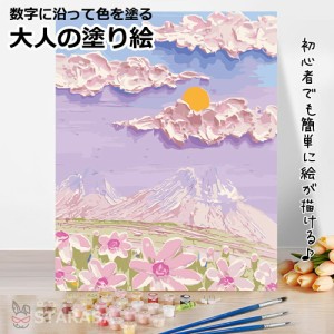 大人の塗り絵 フレーム付き 50x40cm ナンバーペイント 絵画 風景画 塗り絵数字 キャンバス50x40cm 数字 アクリル絵の具 塗り絵キット イ