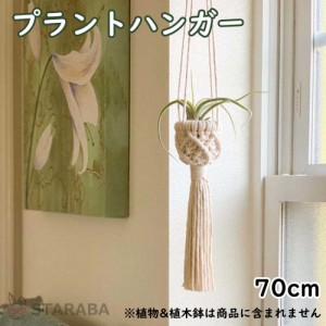 プラントハンガー 吊りスタンド 屋外 屋内 植物 ハンガーマクラメ 観葉植物 吊り下げ ロープ ハンギングプランター 送料無料 ※プランタ