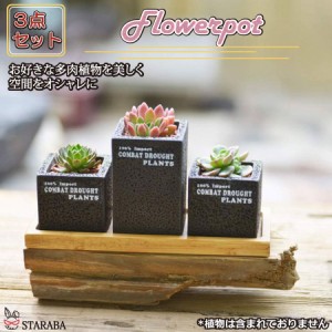 植木鉢 3点セット 多肉植物鉢 サボテン鉢 フラワーポット プランター容器 北欧 おしゃれ 卓上 飾り置物 インテリア 送料無料