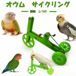 三輪車 小鳥 インコ オウム 自転車 しつけ 訓練 学習 遊び ストレス解消 運動 送料無料